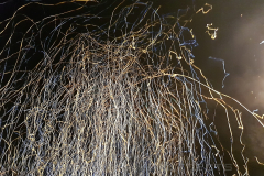 bosse_open_flair_2019_1_20200428_1110184922